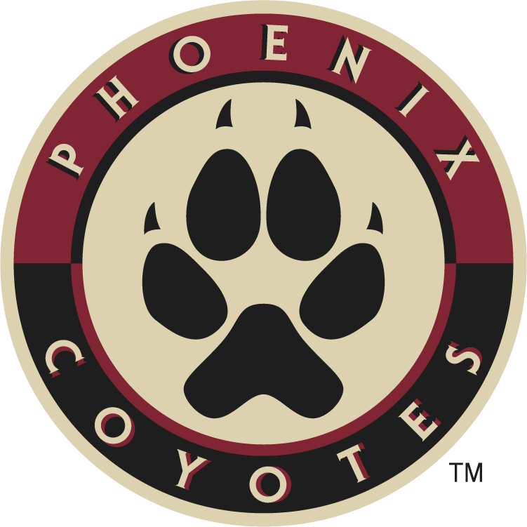Phoenix Coyotes 2008-2014 Alternate Logo DIY iron on transfer (heat transfer)